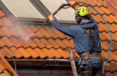 Démoussage et hydrofuge de toiture à Bosrobert